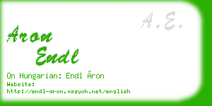 aron endl business card