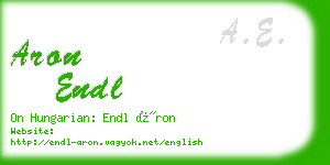 aron endl business card